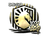 Sticker | Liquid (Gold) | 2020 RMR