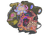 Sticker | Lucas (Holo)