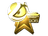 Sticker | Luminosity Gaming (Gold) | Cluj-Napoca 2015