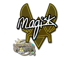 Image of an item