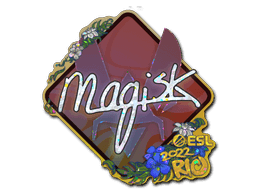 Image of an item