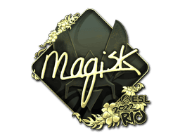 Image of an item