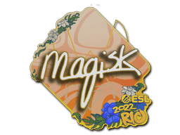 Image of an item