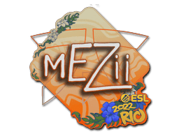 Image of an item