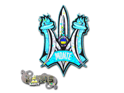 Image of an item