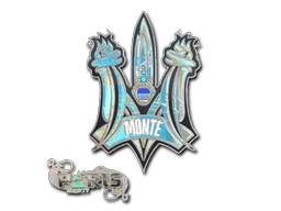 Image of an item