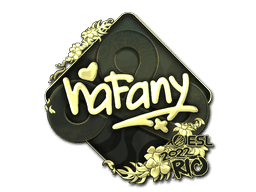 Image of an item