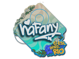 Image of an item