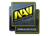 Sticker | Natus Vincere (Foil) | DreamHack 2014