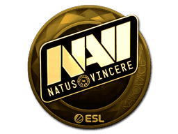 Image of an item