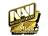 Sticker | Natus Vincere (Gold) | MLG Columbus 2016