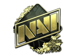 Image of an item
