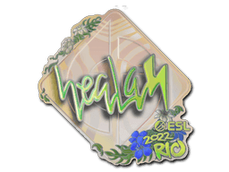 Image of an item