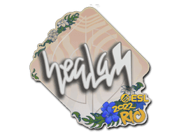 Image of an item