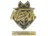 Sticker | nexa (Gold) | Copenhagen 2024