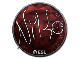 Image of an item