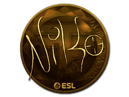 Image of an item