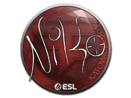 Image of an item
