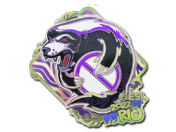 Image of an item