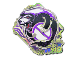 Sticker | Outsiders (Holo) | Rio 2022