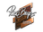 Sticker | pashaBiceps | Boston 2018