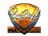 Sticker | pashaBiceps (Foil) | Krakow 2017