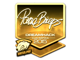 Sticker | pashaBiceps (Gold) | Cluj-Napoca 2015