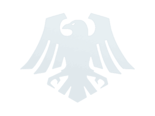 Image of an item