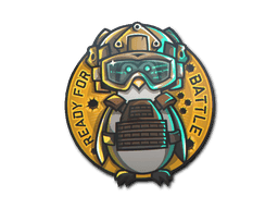 Image of an item