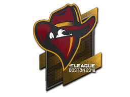 Sticker | Renegades | Boston 2018