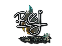 Sticker | roeJ | Antwerp 2022