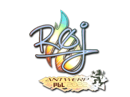 Image of an item