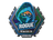 Sticker | Rogue (Holo) | London 2018