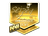 Sticker | seized (Gold) | Cluj-Napoca 2015