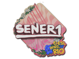 Image of an item