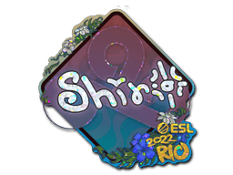 Image of an item