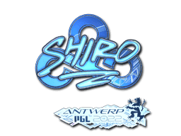 Image of an item
