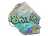 Sticker | sh1ro (Holo) | Rio 2022