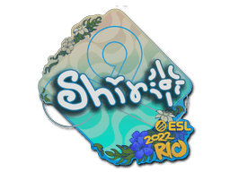 Image of an item