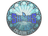 Sticker | Sharks Esports | Cologne 2026