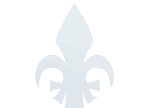 Image of an item