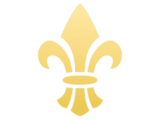 Image of an item