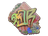 Sticker | sk0R (Holo) | Rio 2022