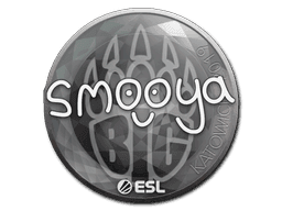 Sticker | smooya | Katowice 2019