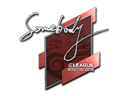 Sticker | somebody | Boston 2018