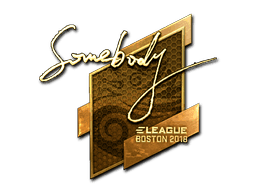 Sticker | somebody (Gold) | Boston 2018