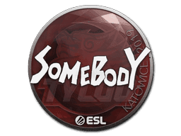 Sticker | somebody | Katowice 2019