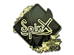 Image of an item