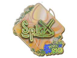 Image of an item