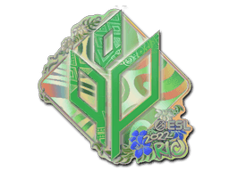 Image of an item